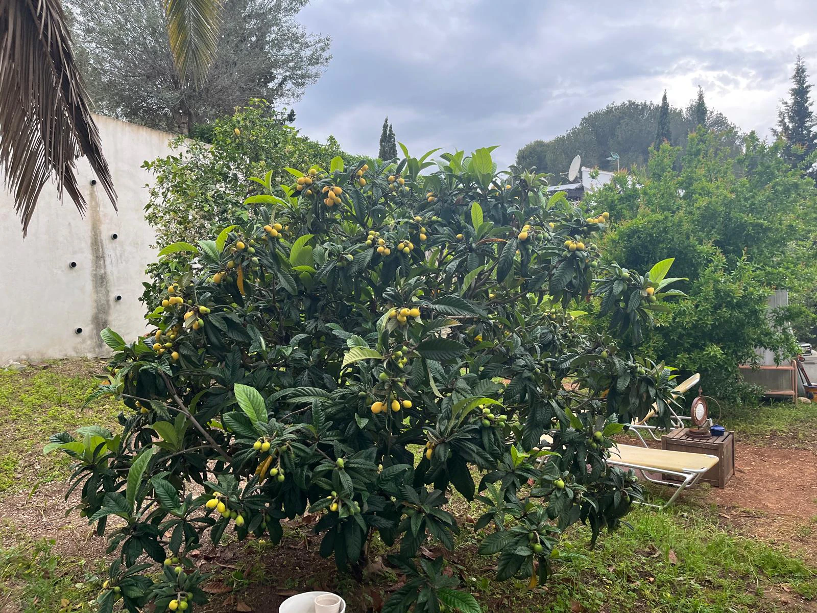 Villa te verkoop in Jávea / Xàbia