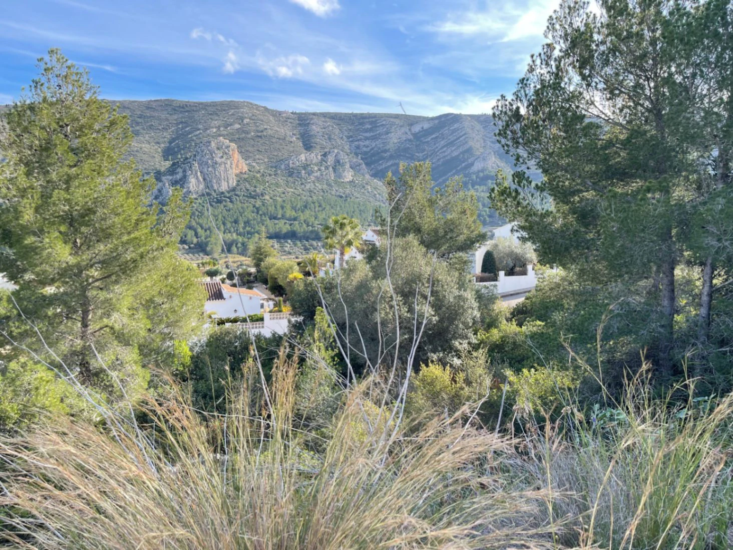 Urban plot in Solana II Pedreguer