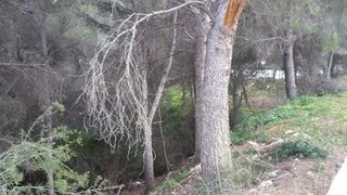 Plot for sale in Jávea / Xàbia