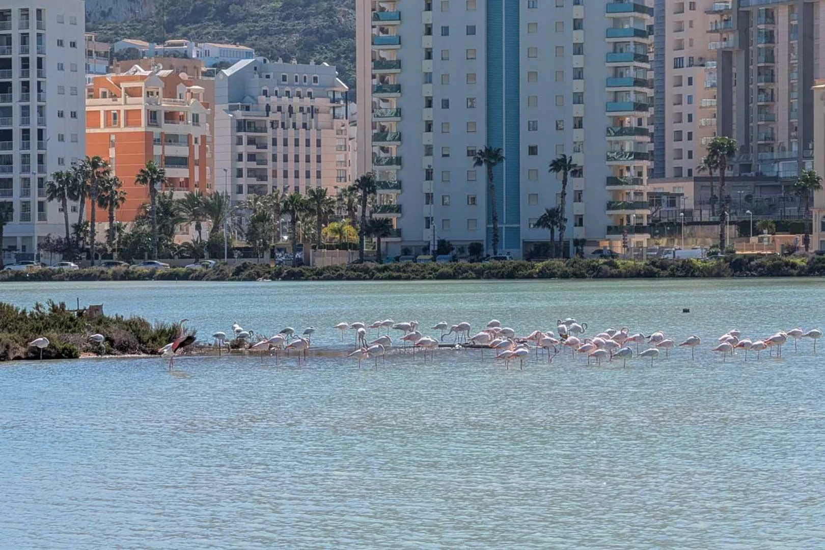 Villa à la vente à Calpe