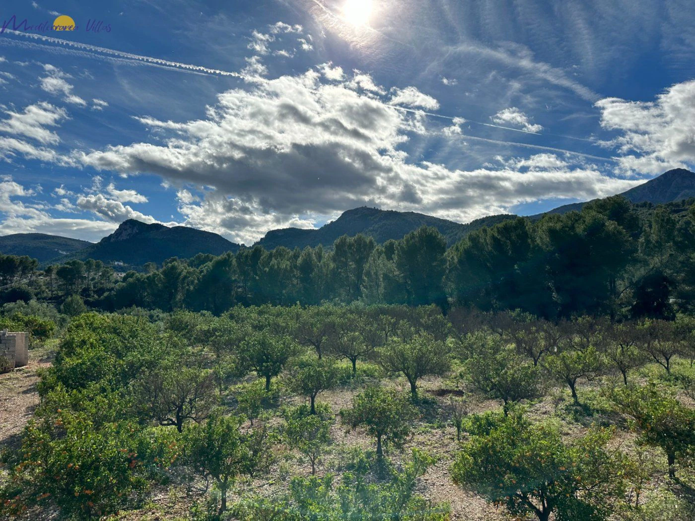Perceel te koop in Orba