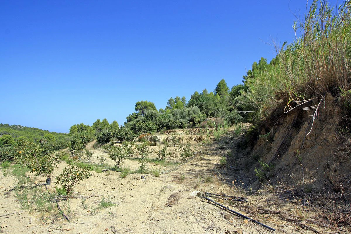 Formidable plot for sale in Beniarbeig