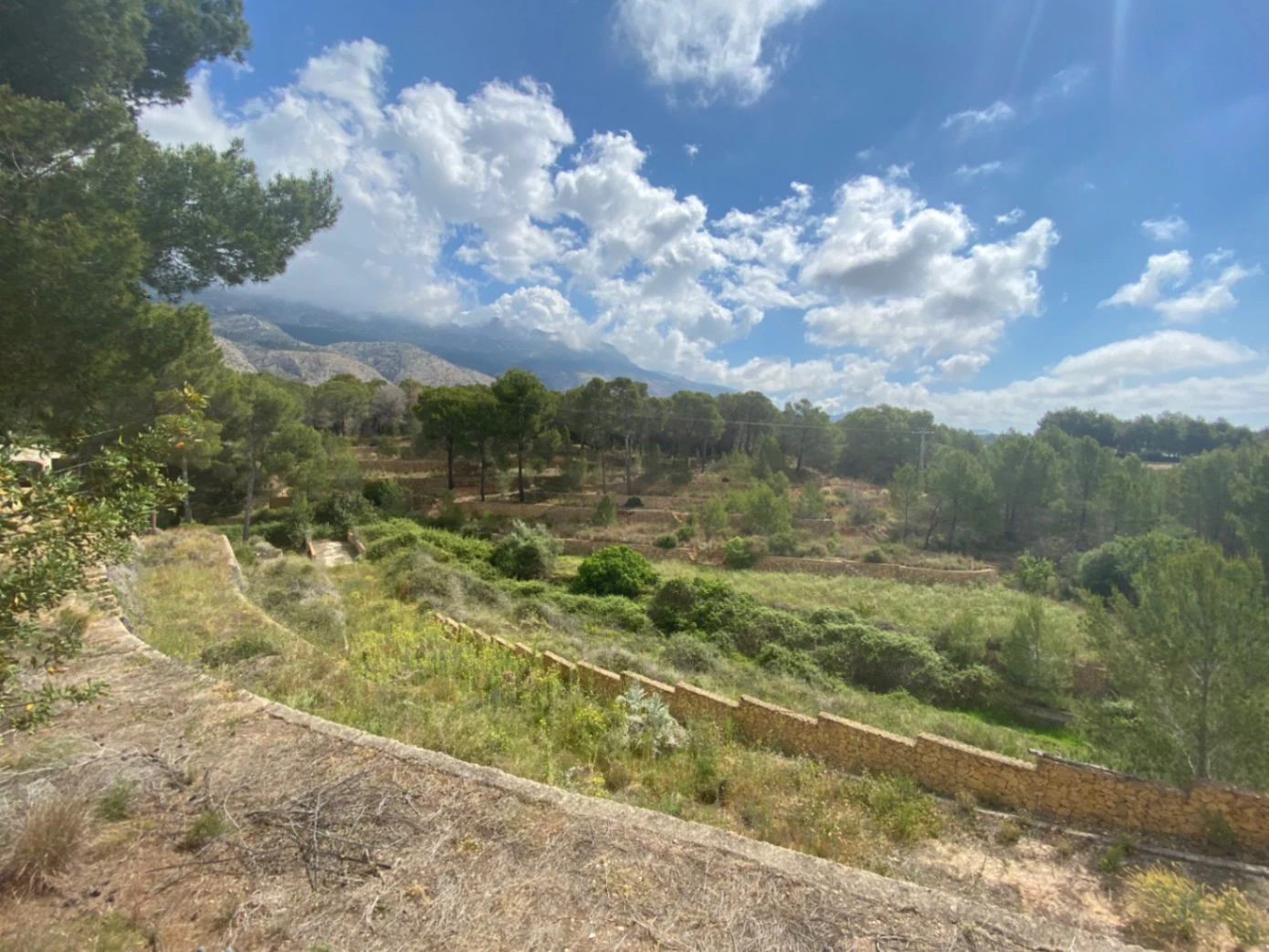 Finca for sale in Altea