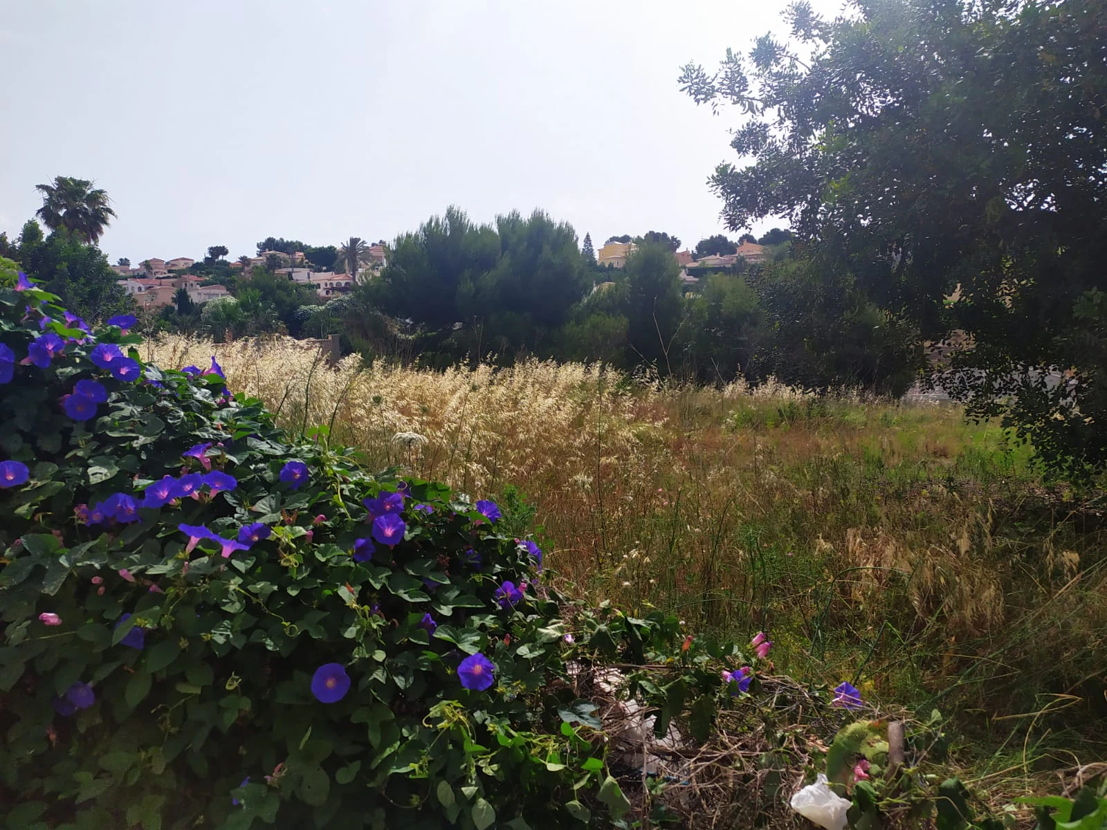 Terrain à la vente à Calpe