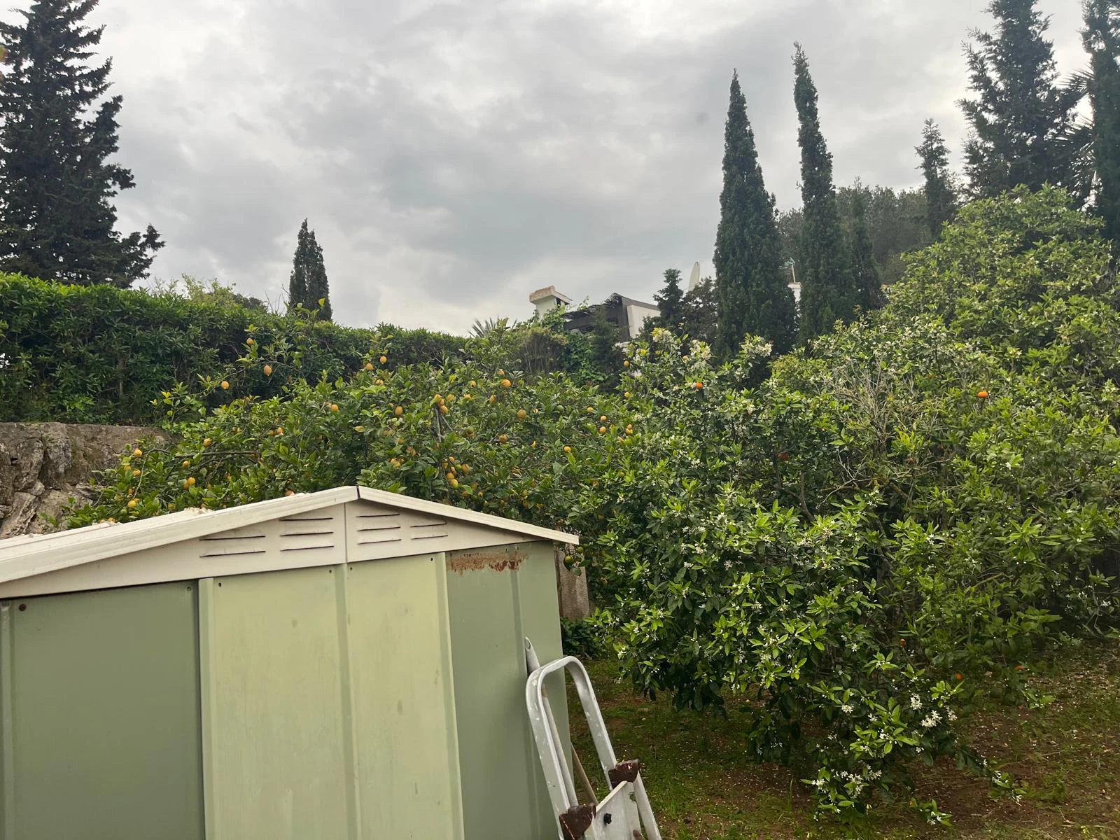 Villa te verkoop in Jávea / Xàbia
