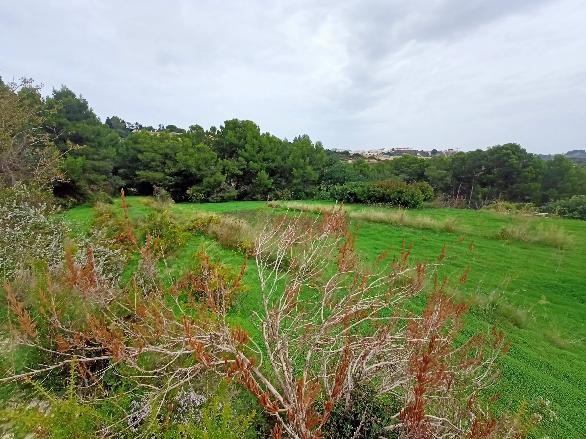 Terrain à la vente à Benissa