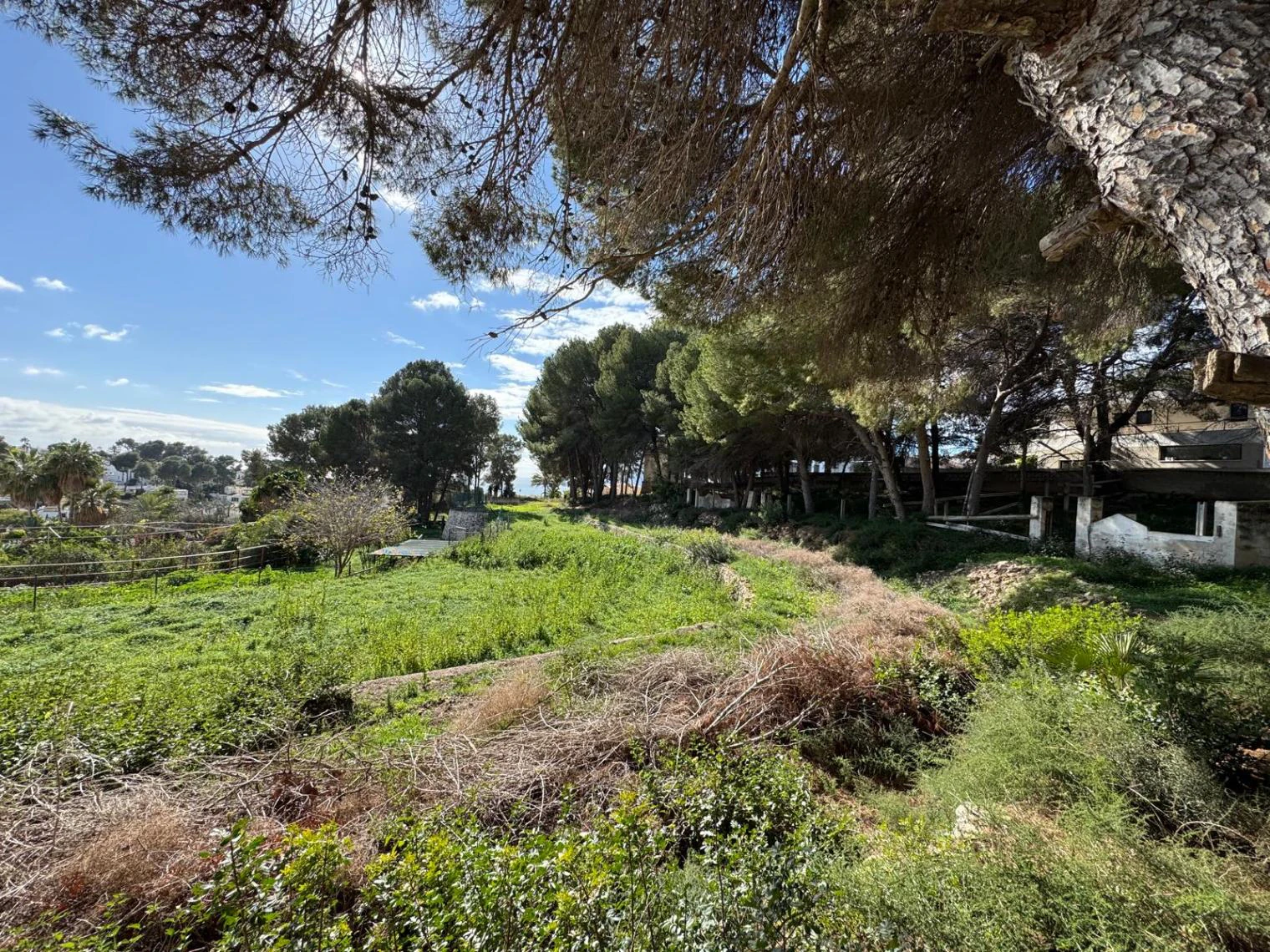 Grundstück zum Verkauf in Moraira