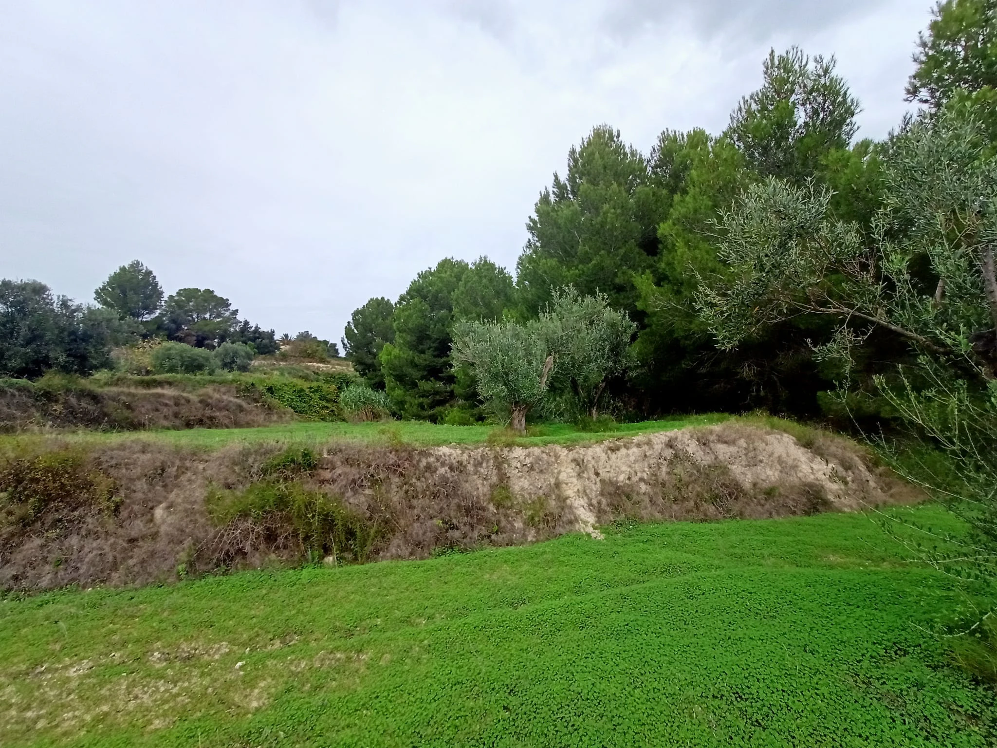 Terrain à la vente à Benissa