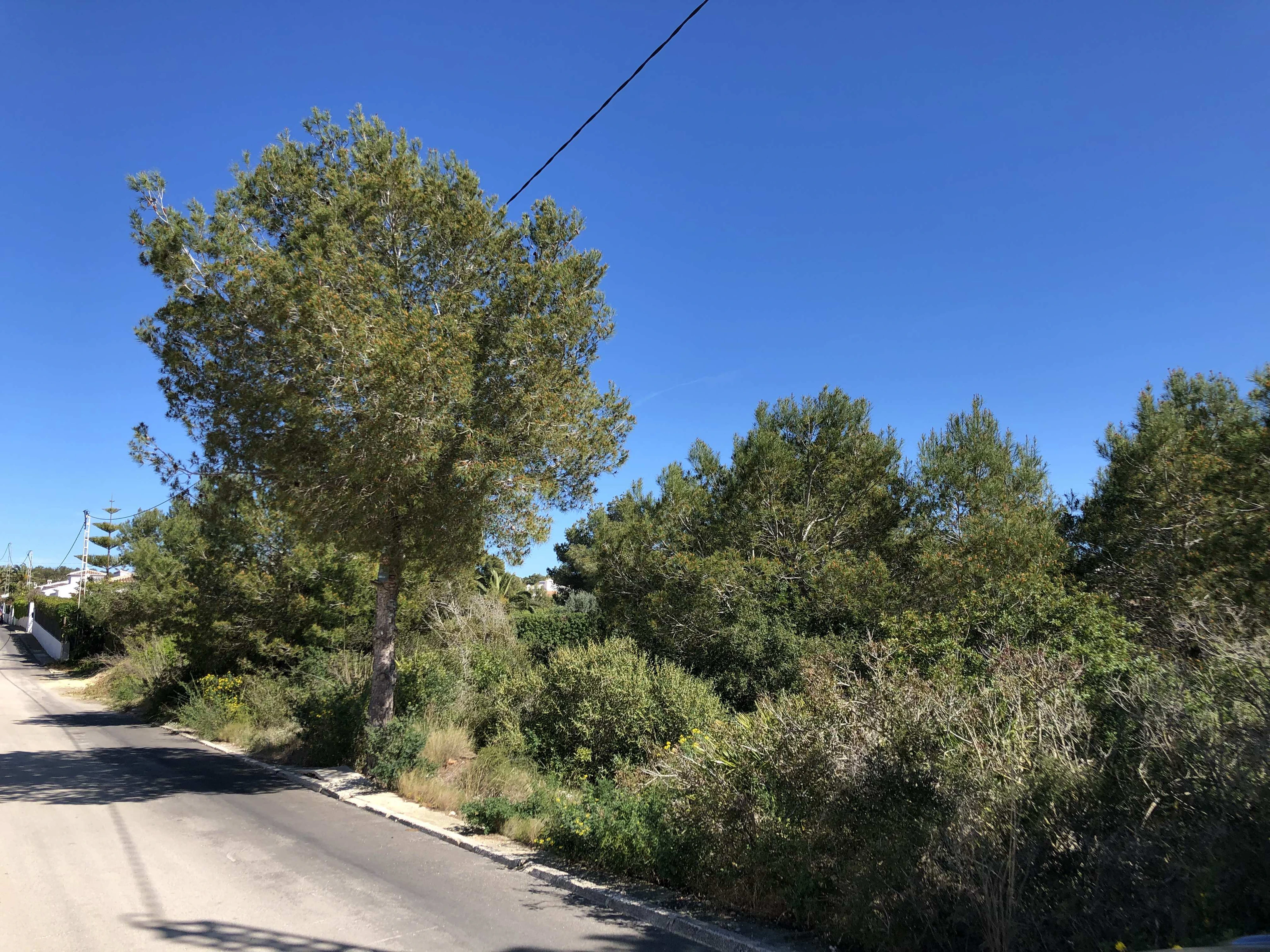 Plot for sale in Jávea