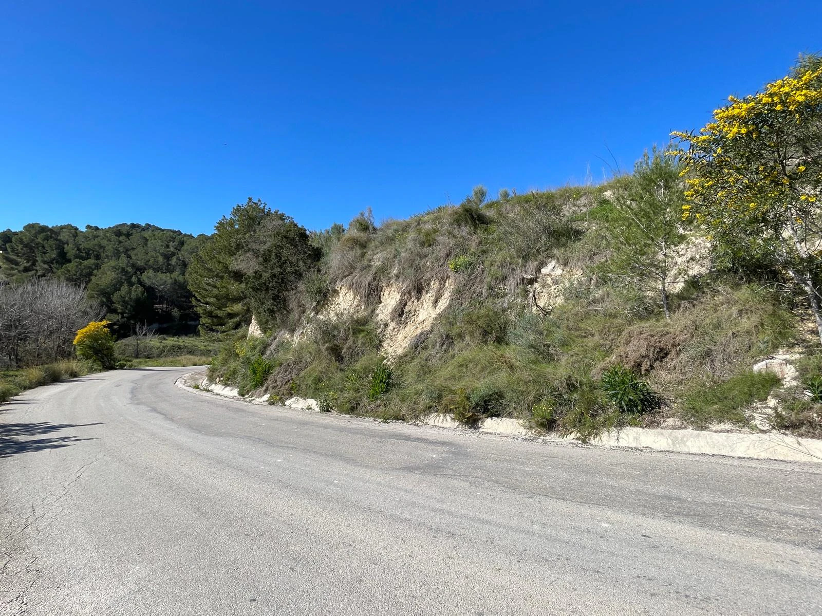 Amplia parcela de 10.000 m² en entorno natural privilegiado con orientación sur