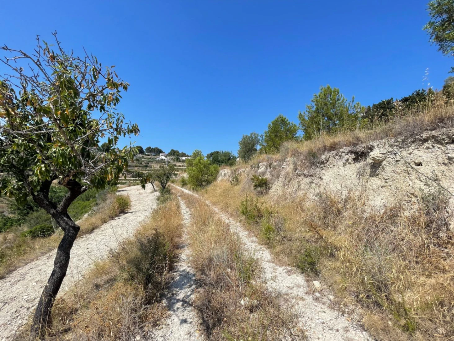 PLOT WITH PROJECT AND LICENSE IN BENISSA