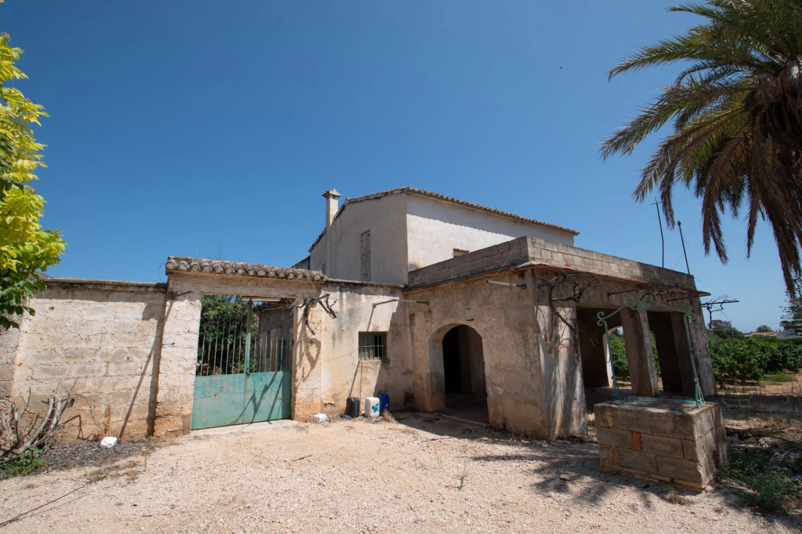 Finca à vendre près d'Ondara : 60 000 m² de terrain avec verger d'orangers et potentiel pour un nouveau développement