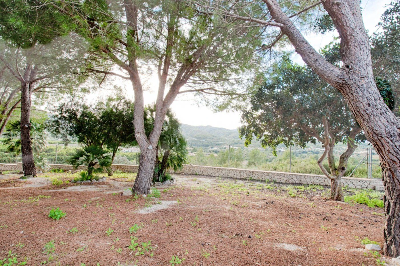 FINCA IN DER RUHE VON GATA DE GORGOS