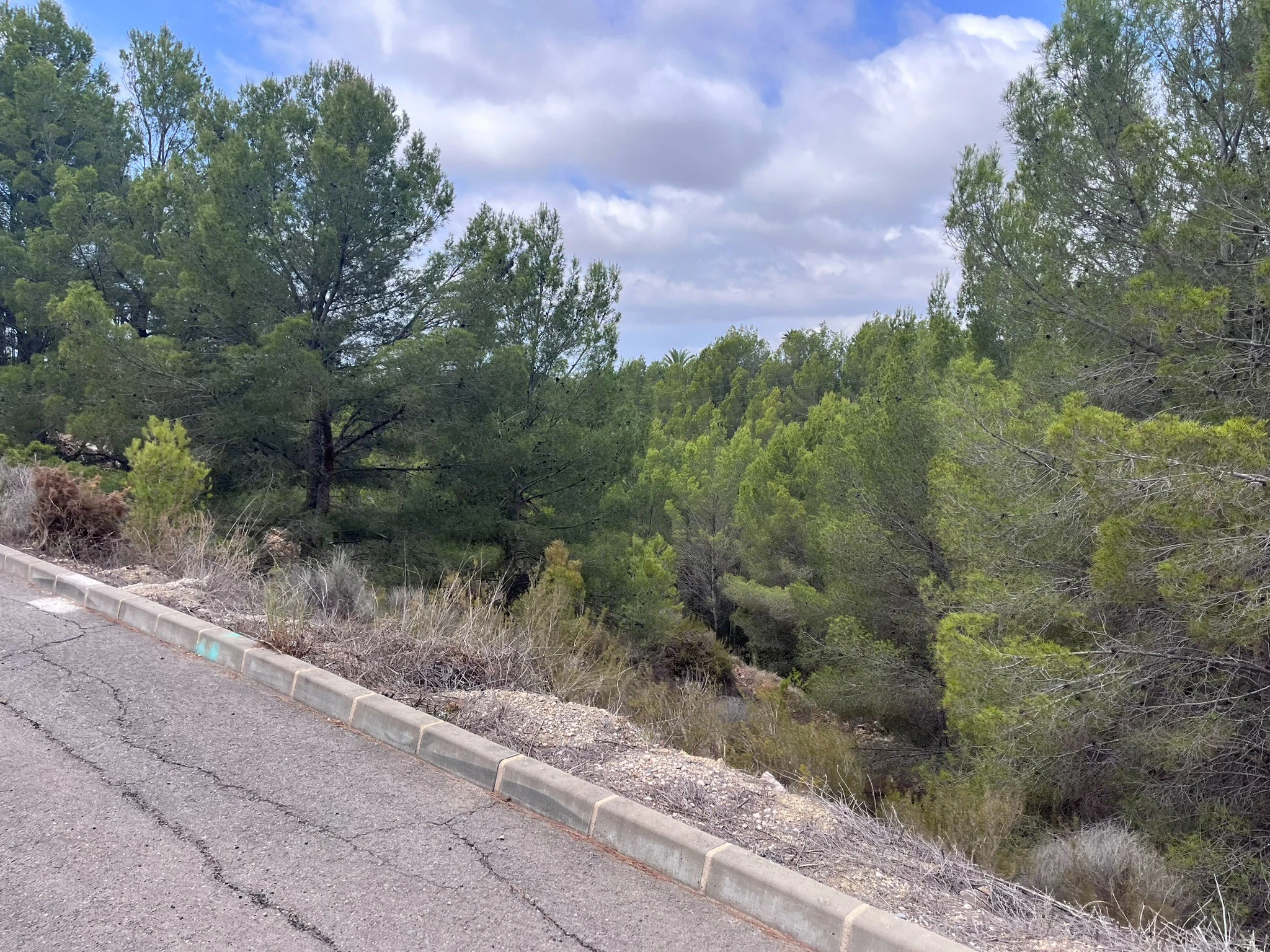 Plot for sale in Callosa D'en Sarrià