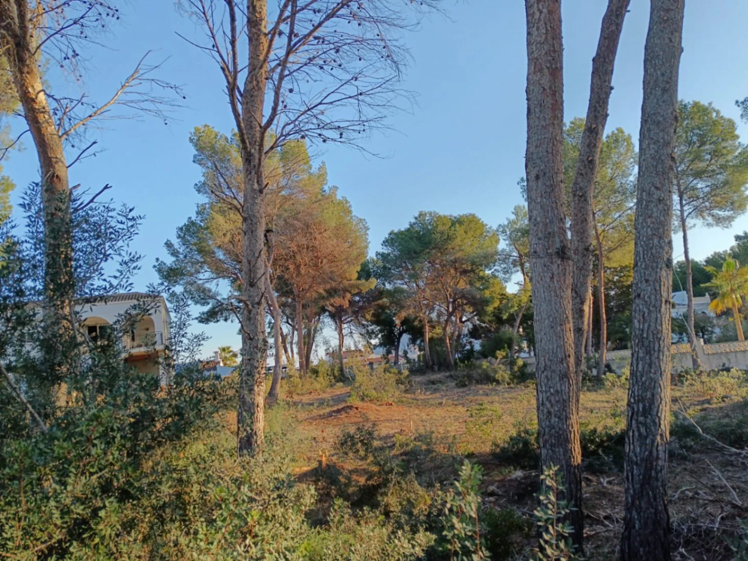 Parcela en Moraira con posibilidad de construir 3 villas