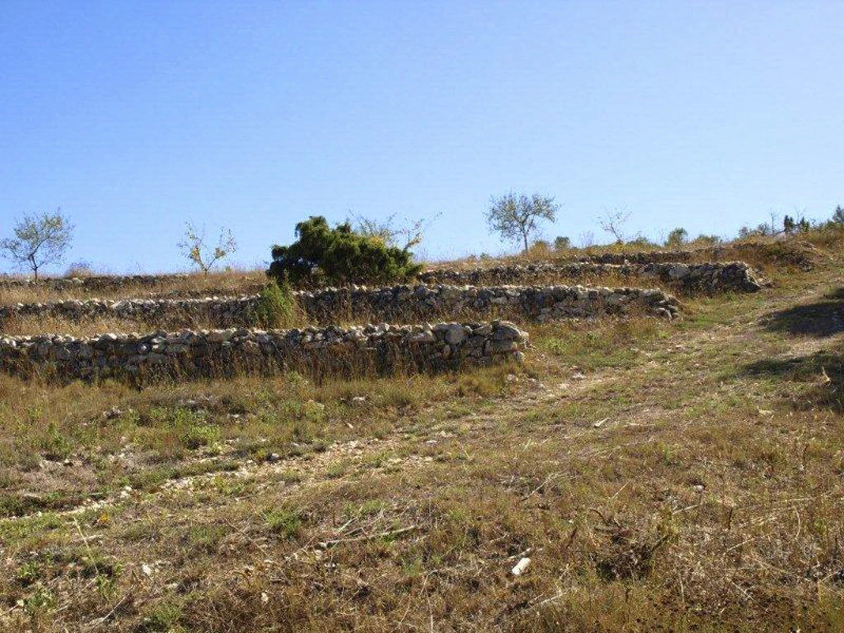 Great opportunity! 200,000 m2 of rural land for sale