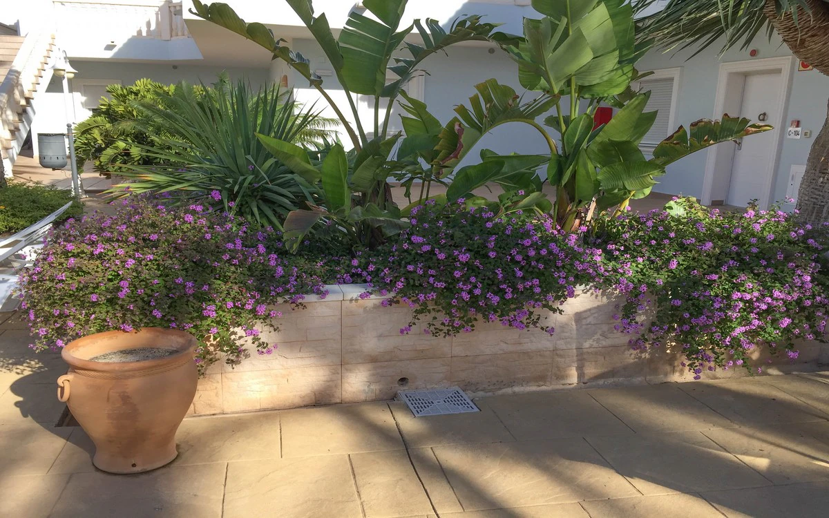 Wohnung zum verkauf in Benissa