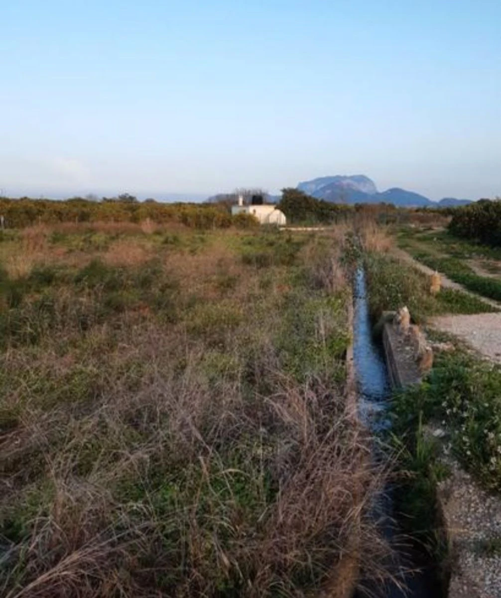 For Sale. Plot in Benidoleig