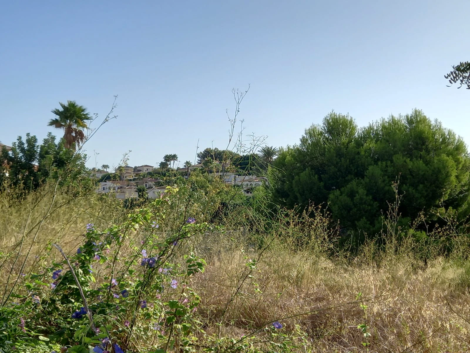 Terrain à la vente à Calpe