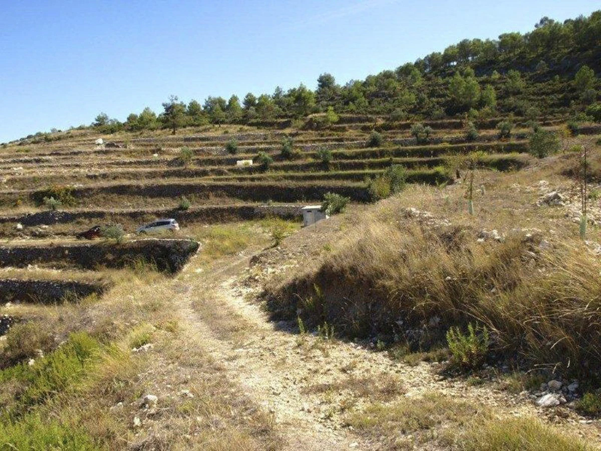 Great opportunity! 200,000 m2 of rural land for sale
