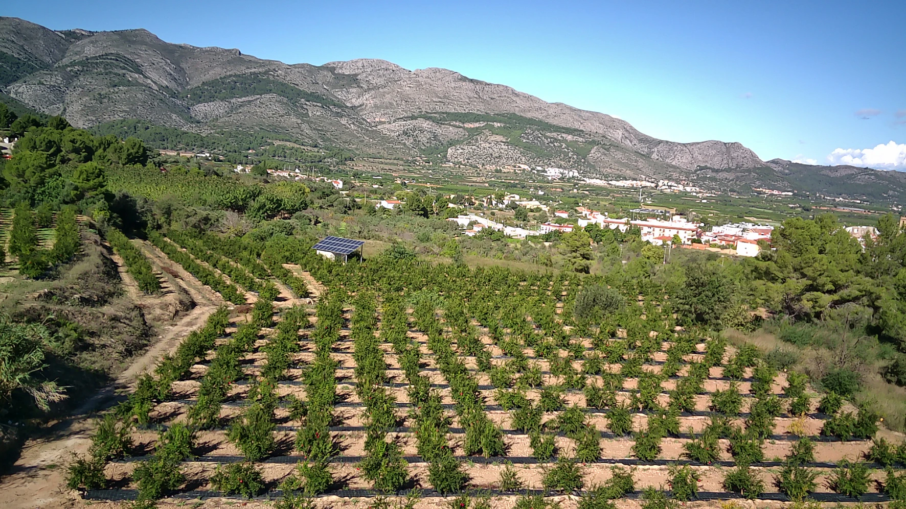 PARCELA 13000 m² LLANA