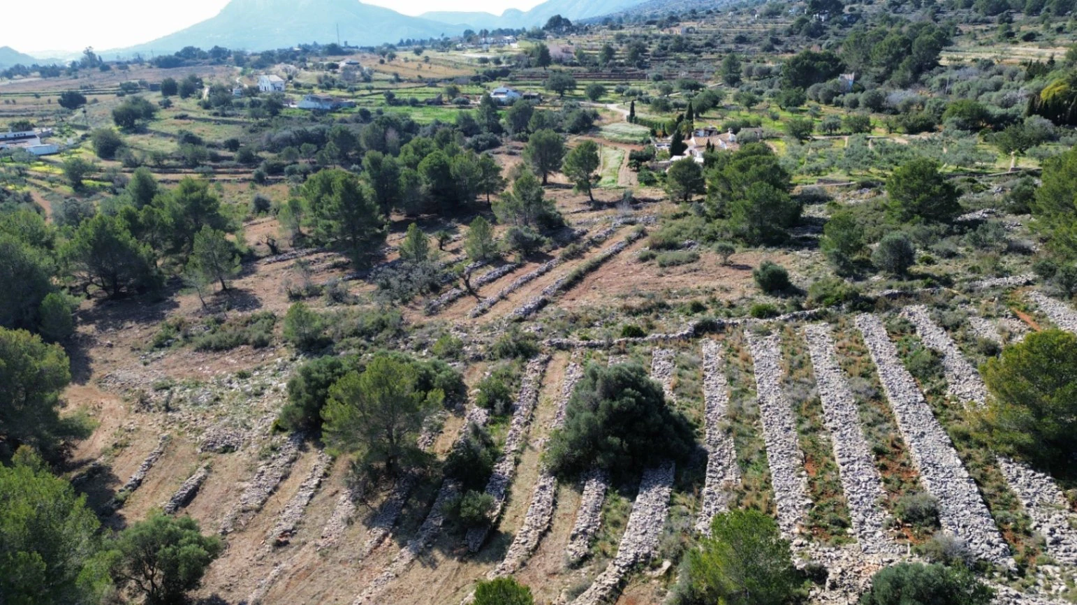 Huge land in Benissa