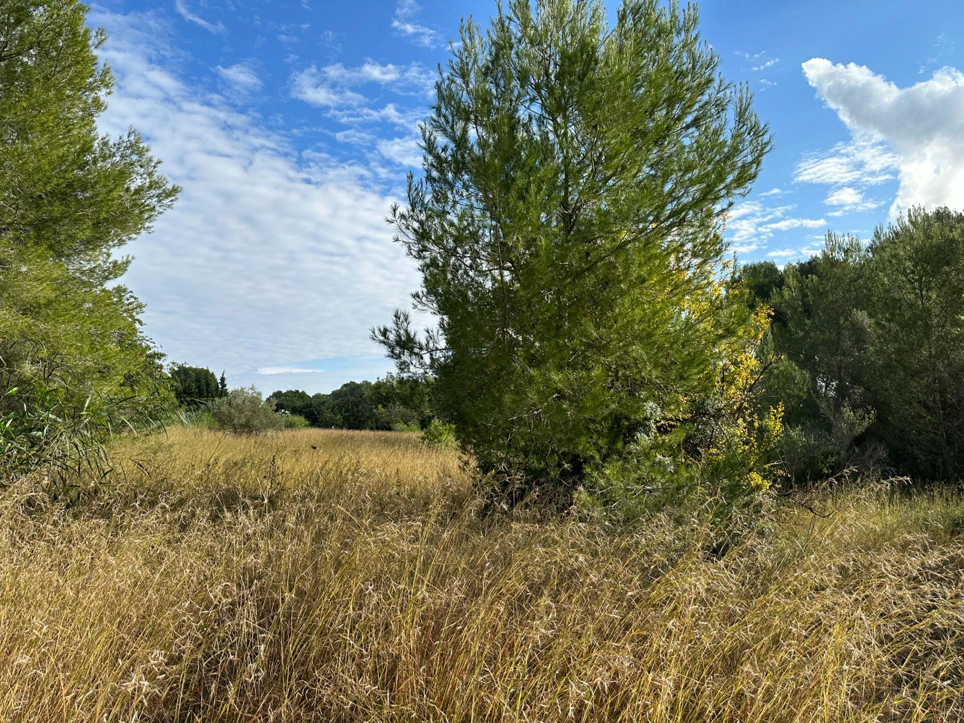 Parcela en venta en Javea