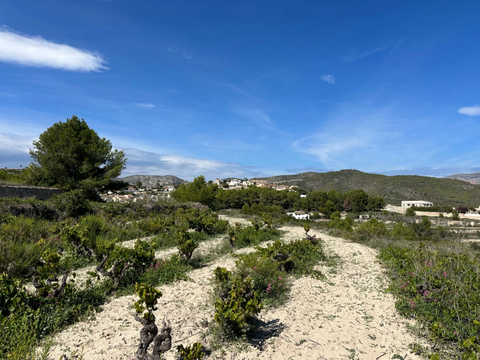 PARCELA CON VISTAS AL MAR EN BENITACHELL