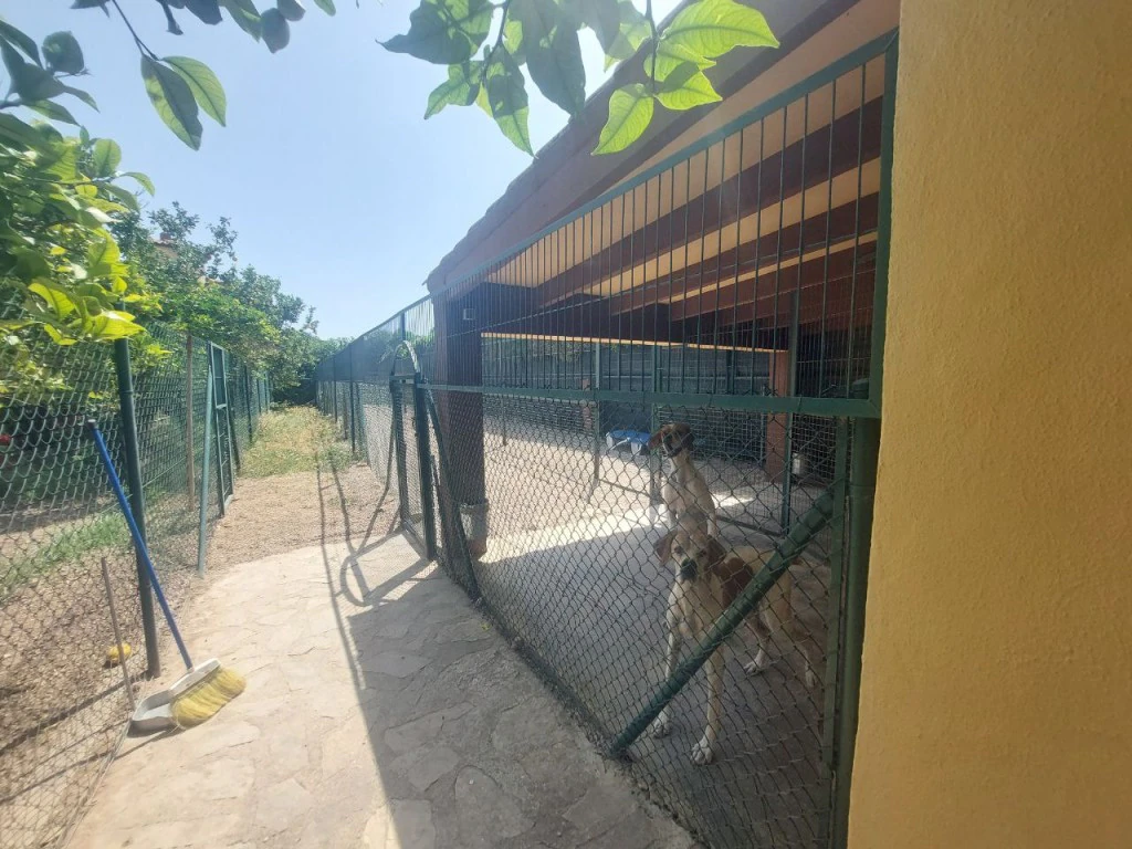 Detached Villa zum verkauf in Albir