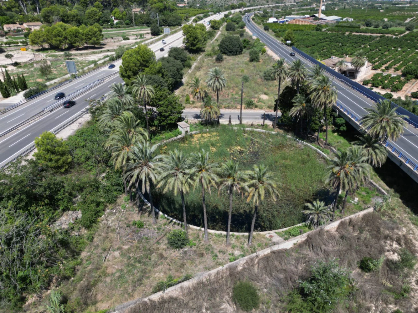 Finca à vendre près d'Ondara : 60 000 m² de terrain avec verger d'orangers et potentiel pour un nouveau développement