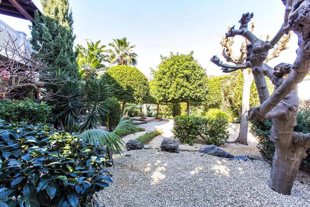 Villa with 2950 m² plot just 700 m from Marineta Cassiana, Dénia