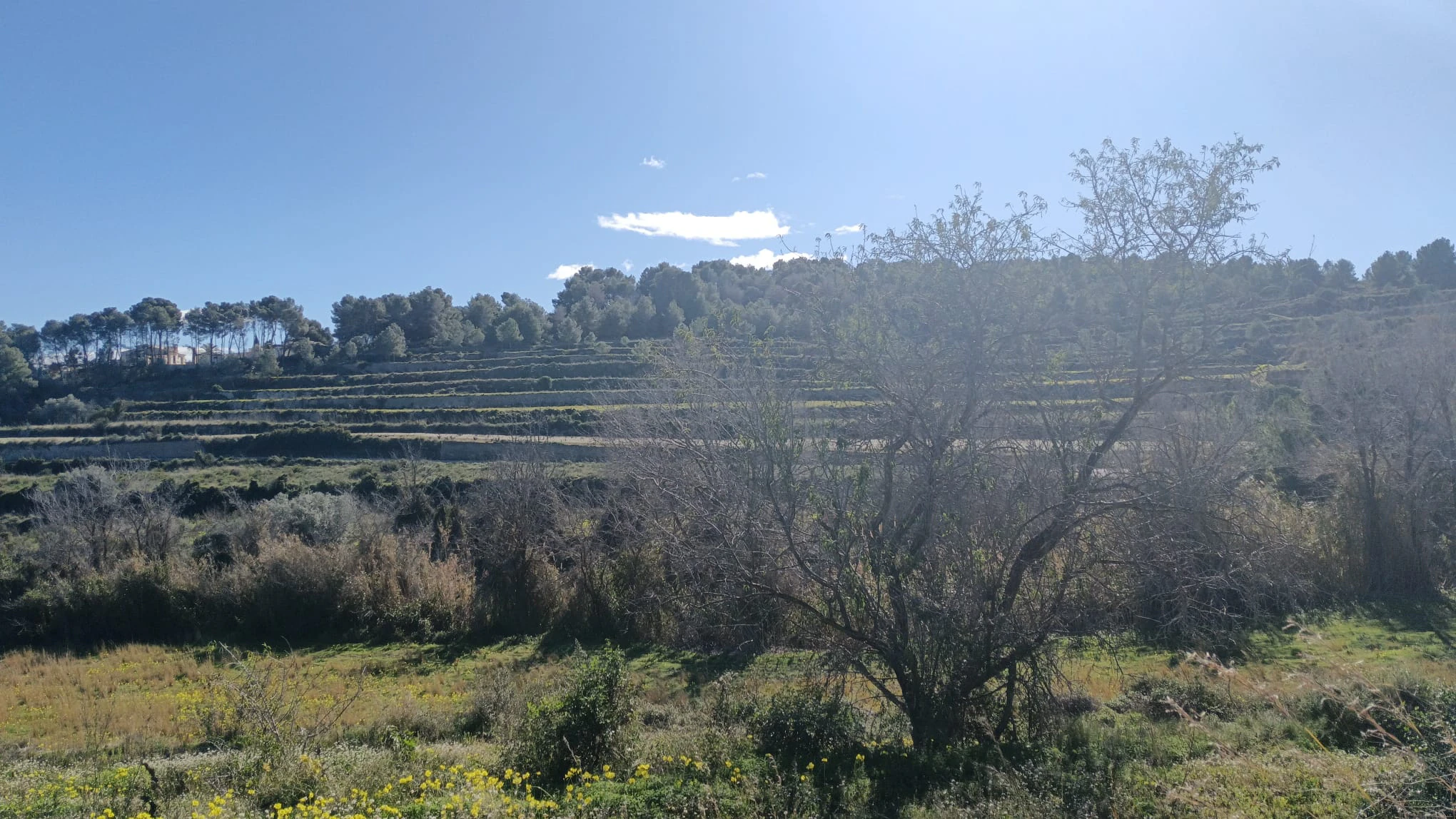 Amplia parcela de 10.000 m² en entorno natural privilegiado con orientación sur