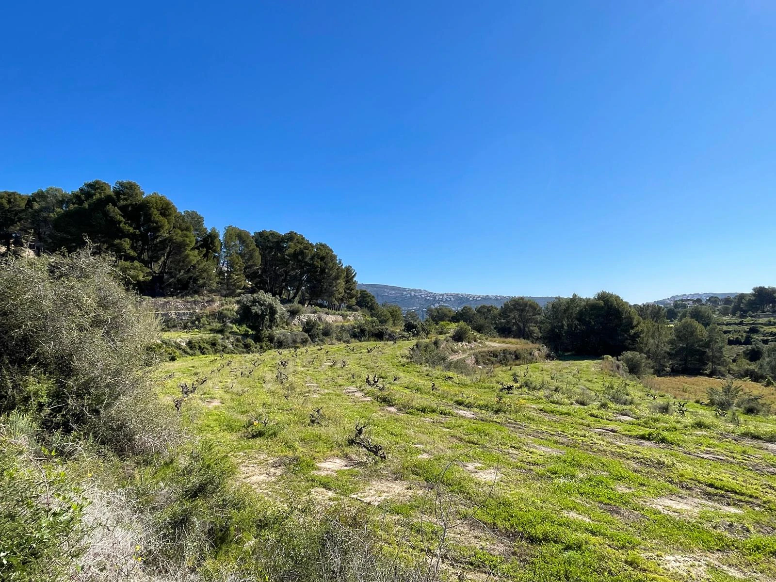 Amplia parcela de 10.000 m² en entorno natural privilegiado con orientación sur