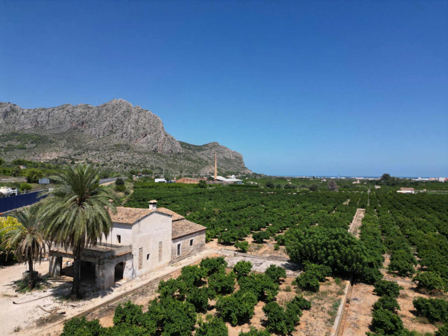 Finca à vendre près d'Ondara : 60 000 m² de terrain avec verger d'orangers et potentiel pour un nouveau développement