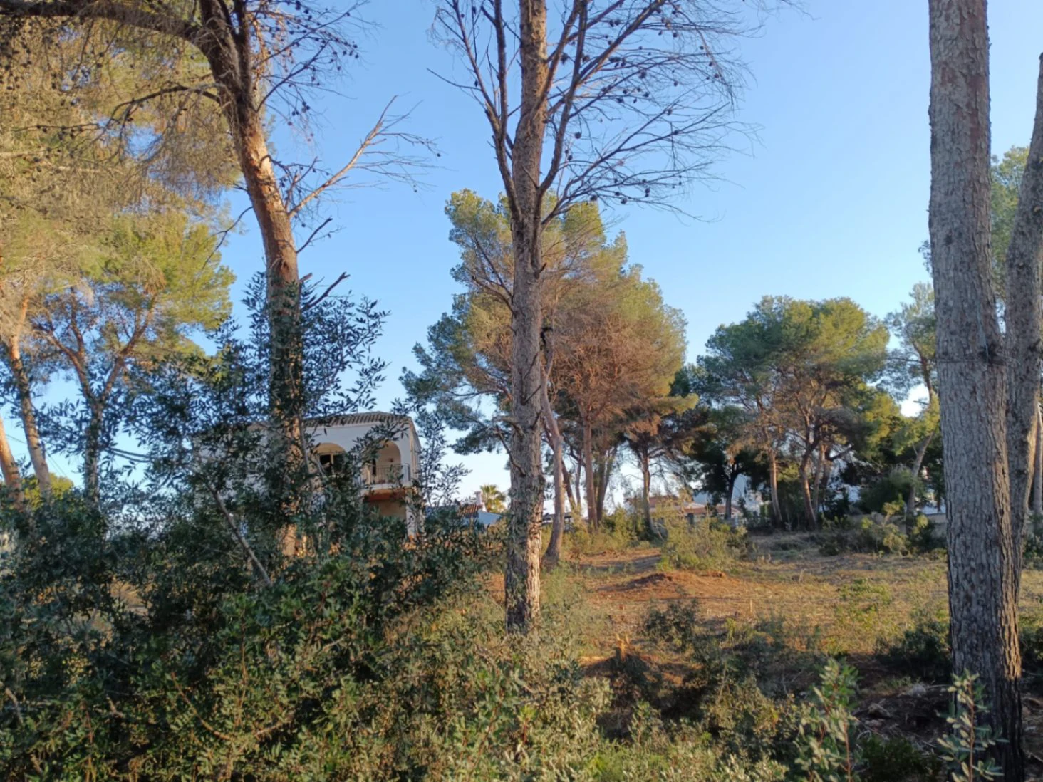 Parcela en Moraira con posibilidad de construir 3 villas
