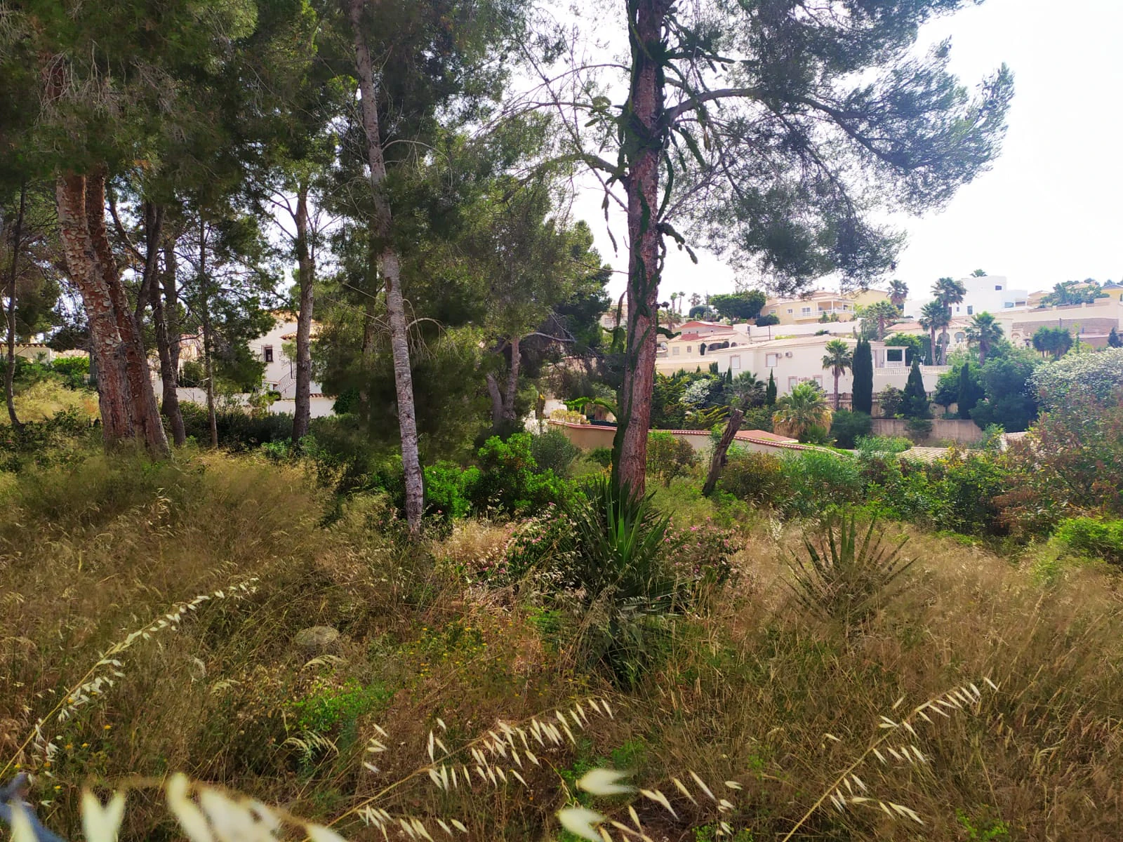 Plot for sale in Calpe