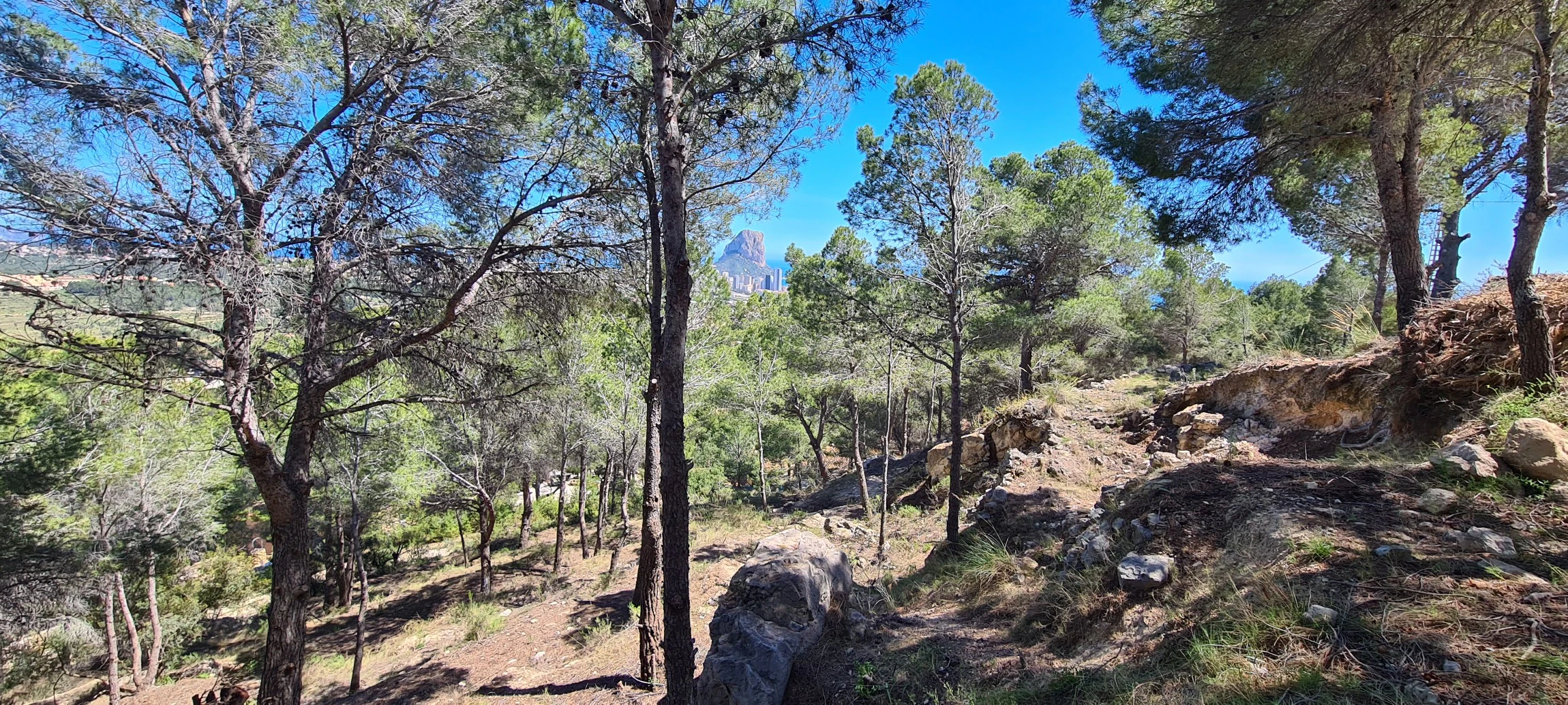 Plot for sale in Calpe