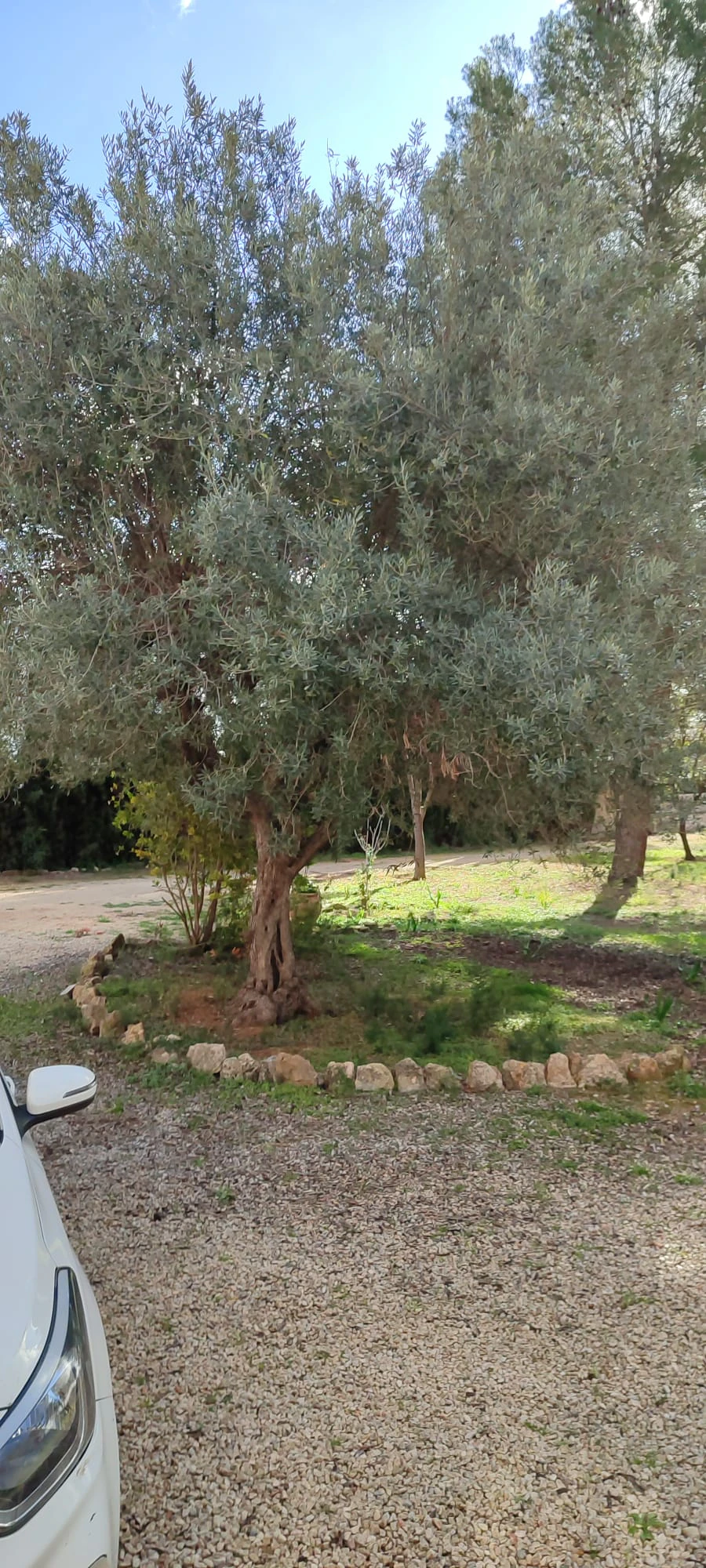 Villa for sale in Moraira