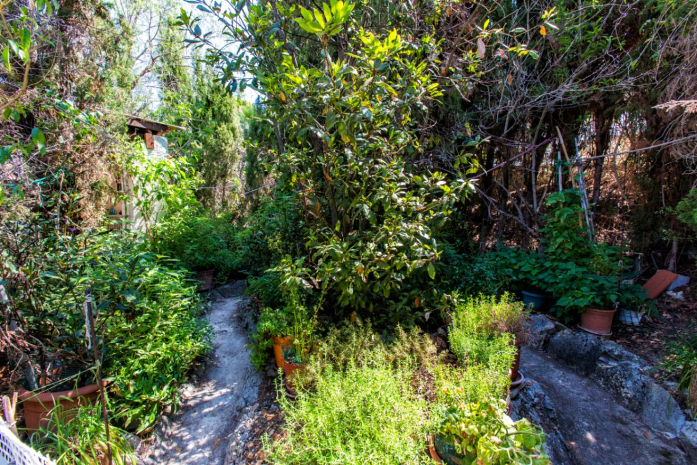 Villa with panoramic views of the Bernia for sale in Calpe