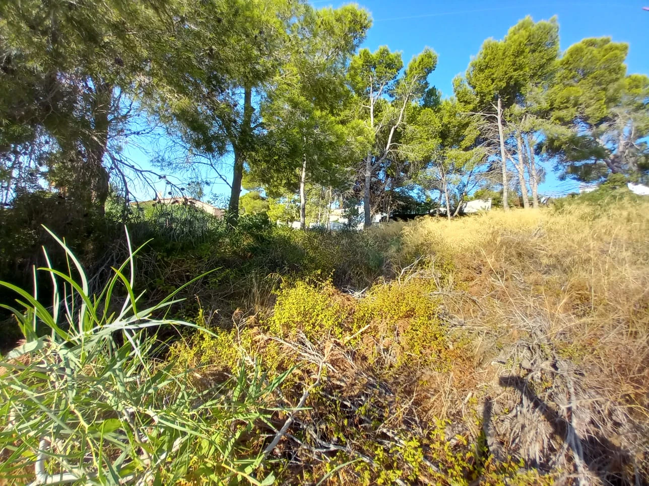 Plot for sale in Calpe