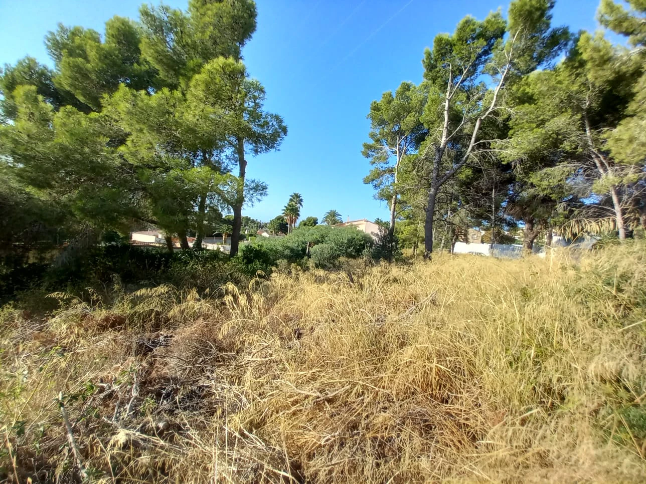 Plot for sale in Calpe