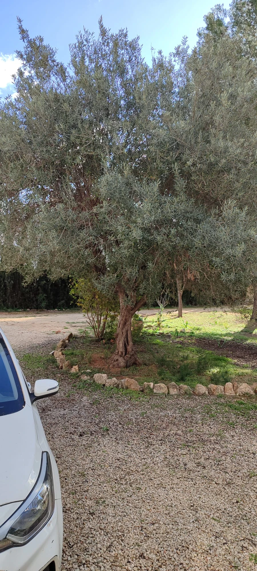 Villa for sale in Moraira