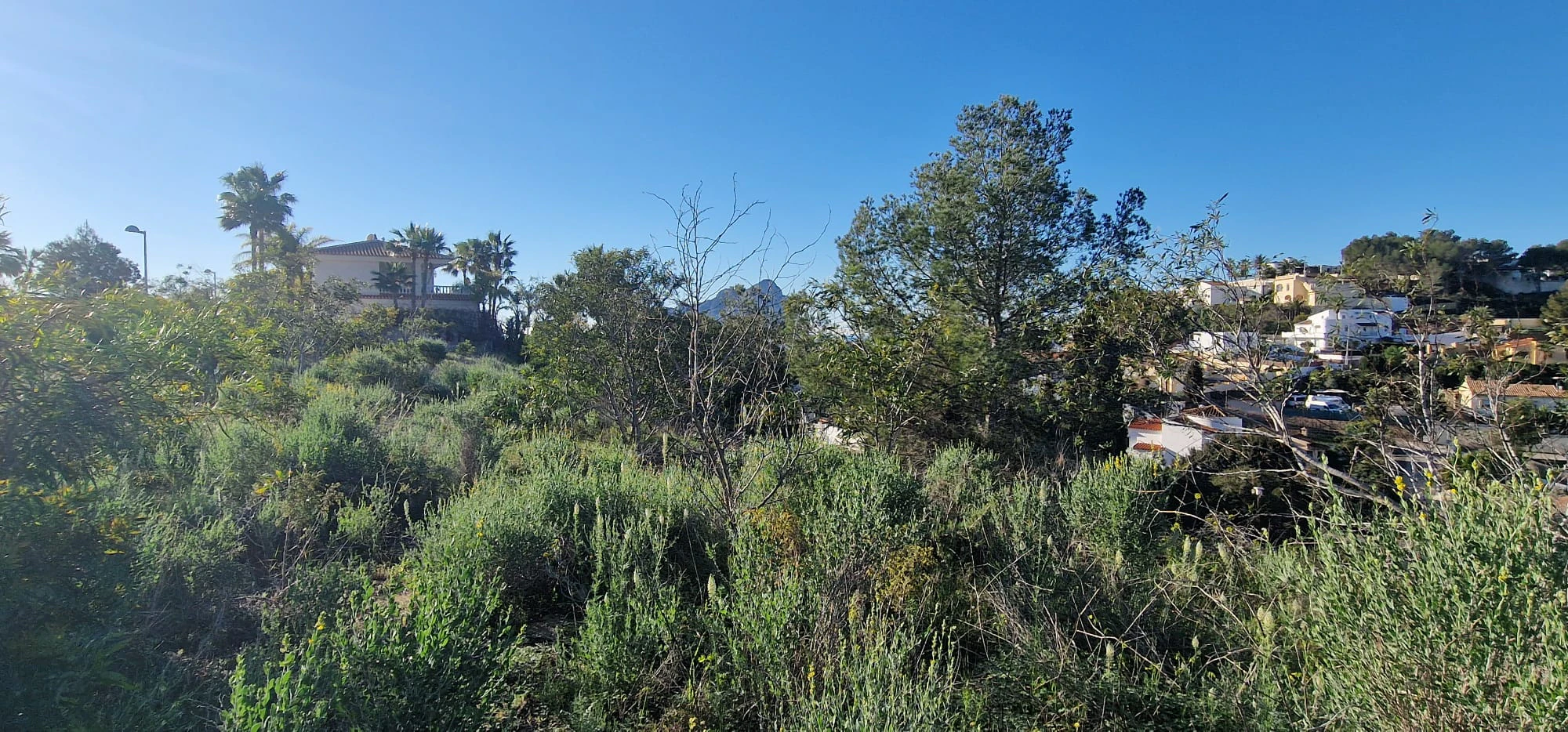 Plot for sale in Calpe
