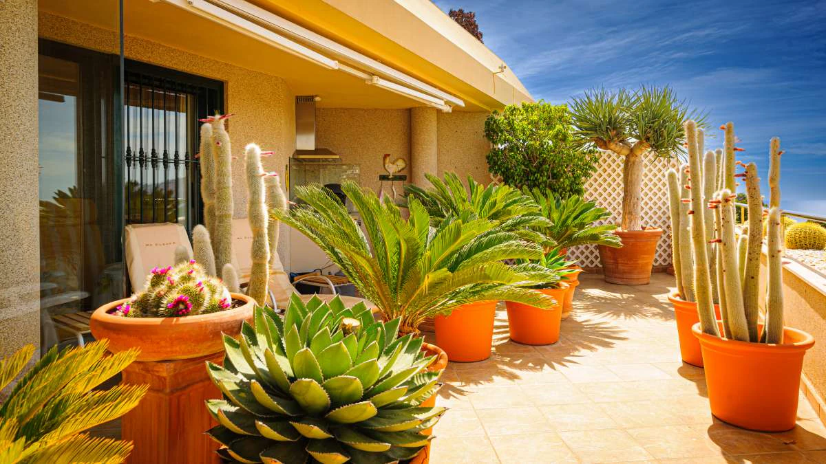 Appartement en ville à la vente à Altea La Vieja