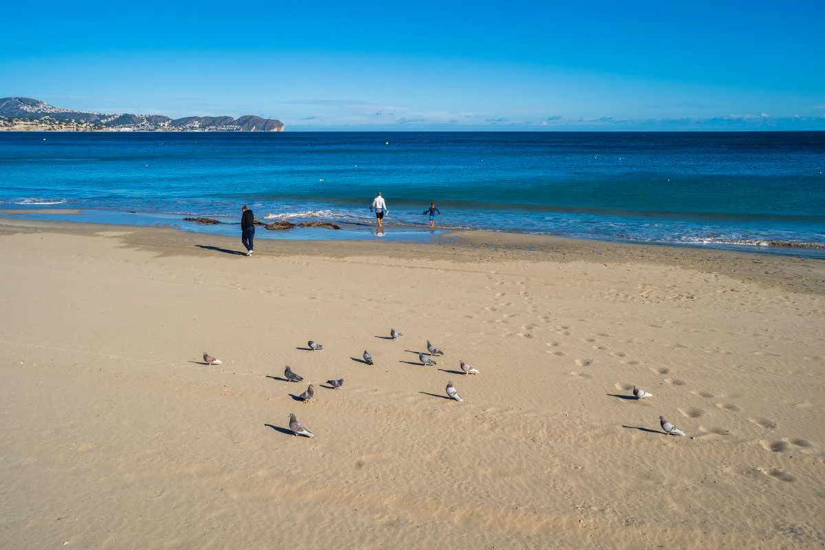 Flat for sale in Calpe
