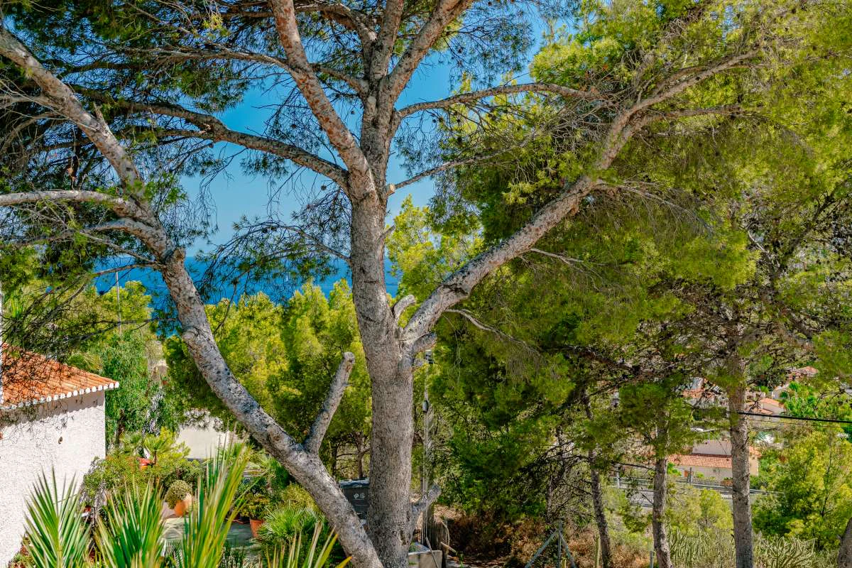 Villa for sale in Calpe