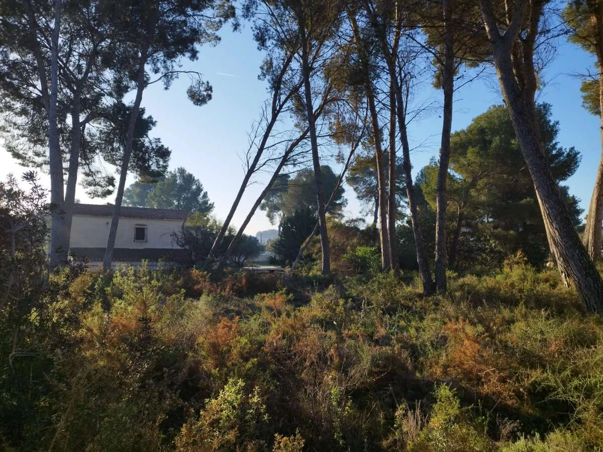 Villa for sale in Moraira