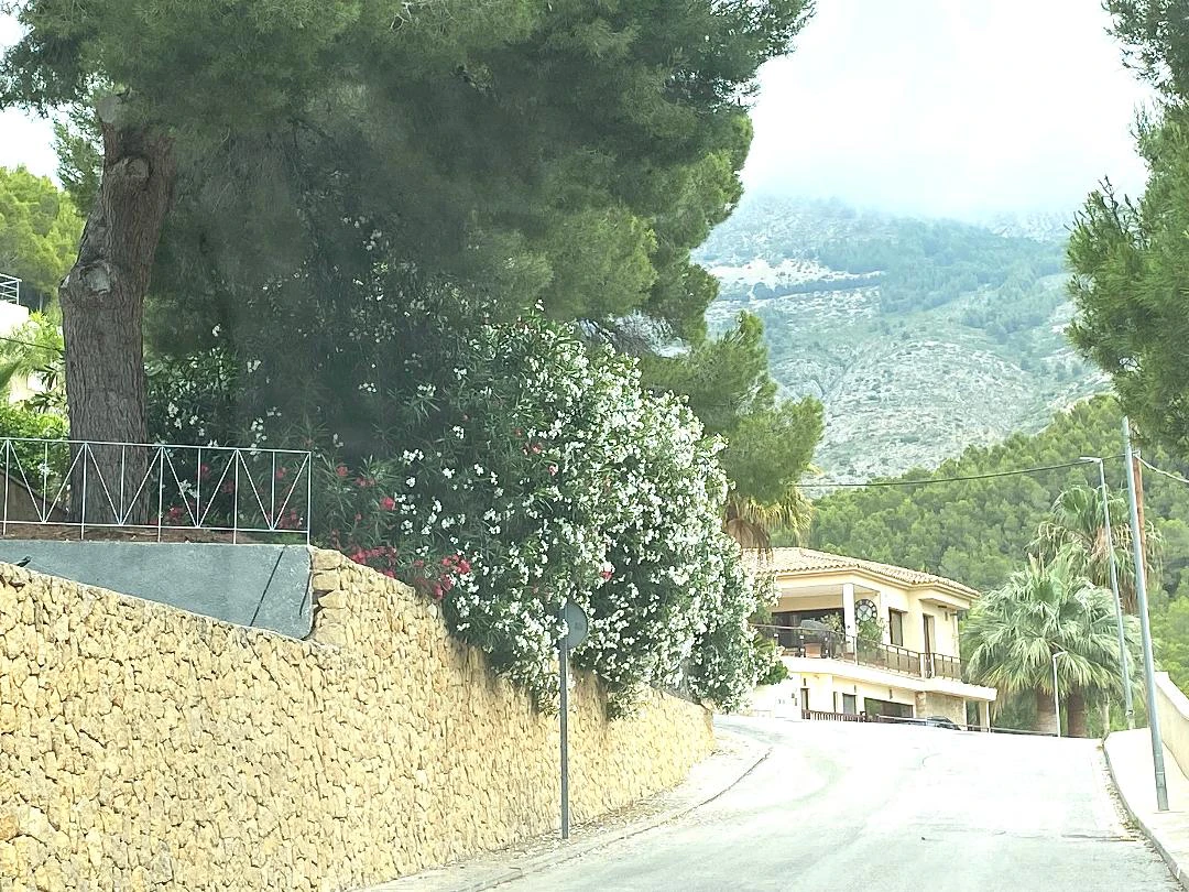Belle villa avec piscine à Altea