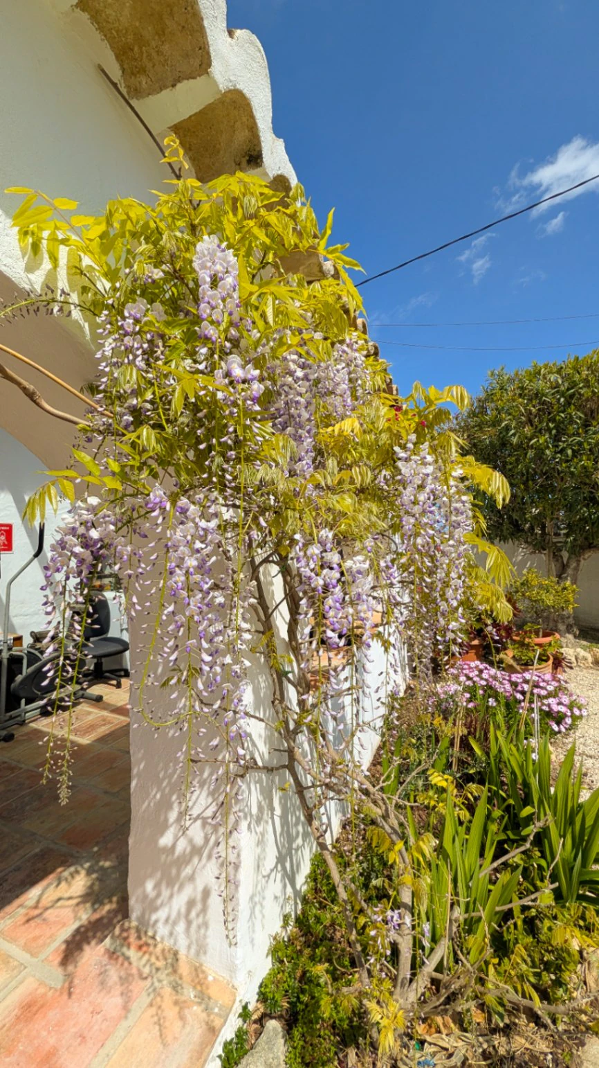 Traditionelle Finca zu verkaufen in Benitachell – 3 Schlafzimmer, Pool & Montgó-Aussichten