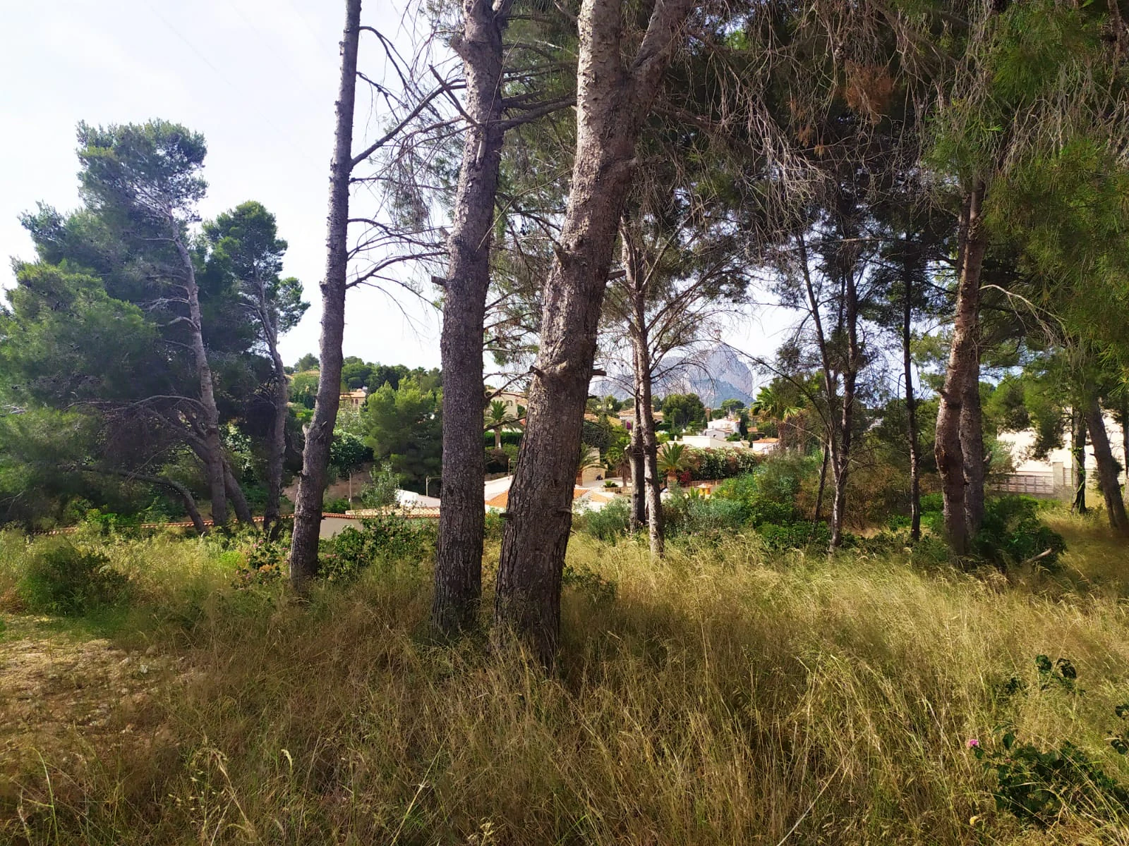 Plot for sale in Calpe